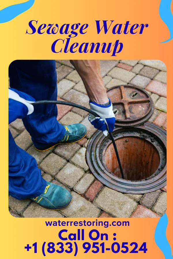 Sewage Water Cleanup in Sidney, OH